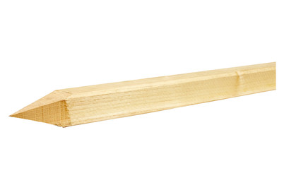 Image of Holzpfahl 4-kantig 175 cm bei JUMBO