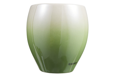 Image of Spirella Zahnbecher Bali bei JUMBO