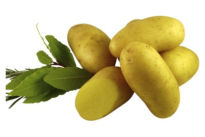 Image of Saatkartoffeln Erika 2.5 kg