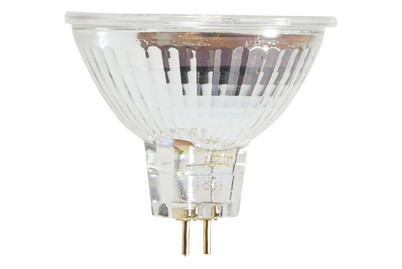 Image of Osram LED-Leuchtmittel Spot Superstar Gu5.3 350Lm