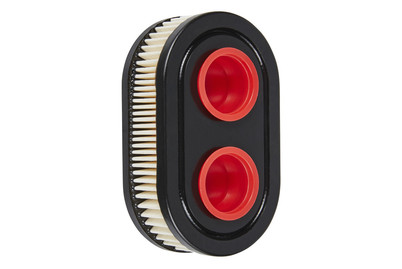 Image of Arnold Luftfilter Briggs AND Stratton Al05 bei JUMBO