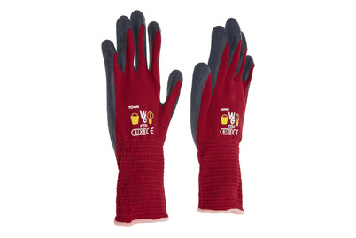 Image of Kinderhandschuhe Alpi Rot bei JUMBO