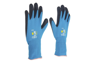 Image of Kinderhandschuhe Alpi Blau bei JUMBO