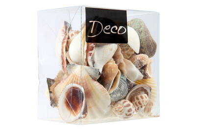 Image of Muscheln natur 600ml bei JUMBO