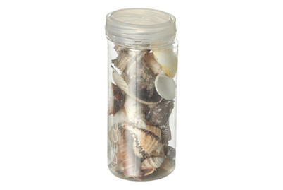 Image of Muschelmix bei JUMBO