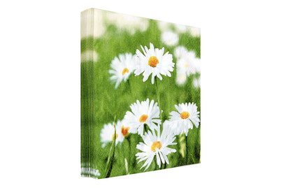 Image of Servietten Daisies bei JUMBO