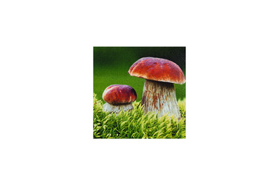 Image of Servietten 33x33cm Porcini bei JUMBO