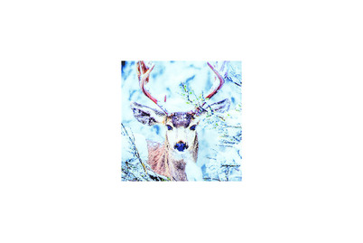 Image of Servietten 33x33cm Stag In Snow bei JUMBO