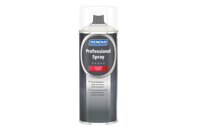 Image of Professional Spray Glänzend bei JUMBO