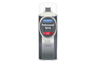 Image of Professional Spray Glänzend