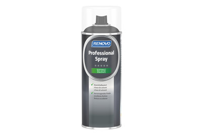 Image of Professional Spray SDM Ral9005