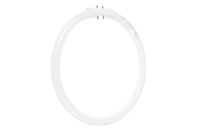 Image of Osram Leuchtstoffröhre G13 1900Lm bei JUMBO