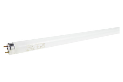 Image of Osram Leuchtstoffröhre Lumilux G13 3250Lm bei JUMBO