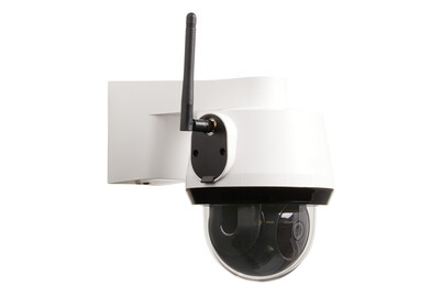 Image of Ppic42520 bei JUMBO