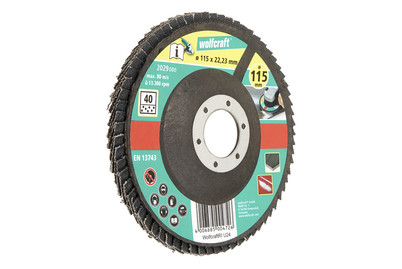 Image of Wolfcraft 1 Schleiflamellenteller Ws K40 bei JUMBO