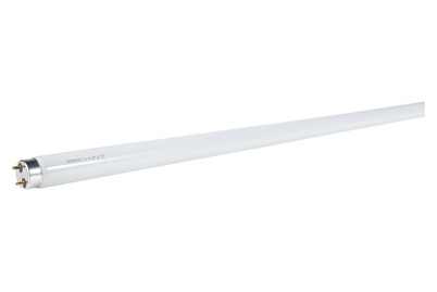 Image of Leuchtstoffröhre G13 3350Lm bei JUMBO