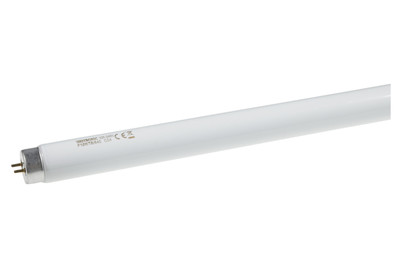 Image of Leuchtstoffröhre G13 960Lm bei JUMBO