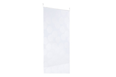 Image of Gardinia Plissee Easyfix Maja bei JUMBO