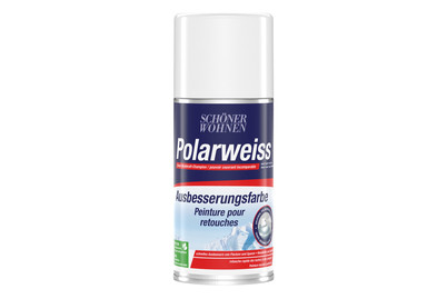 Image of Polarweiss Ausbesserungsspray bei JUMBO