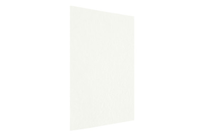 Image of Folia Maulbeerbaum-Papier bei JUMBO