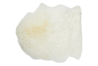 Image of Schaffell 60 x 85 cm bei JUMBO