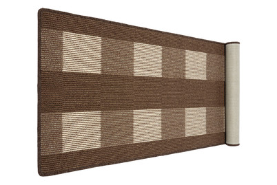 Image of Läufer Dijon bei JUMBO