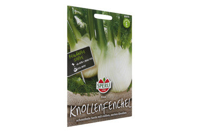 Image of Knollenfenchel Fino
