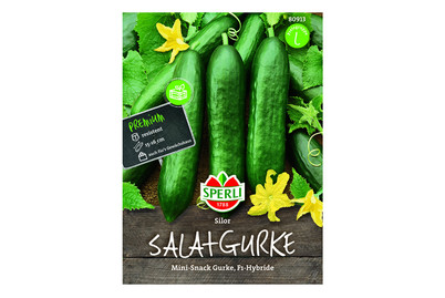 Image of Salatgurken Silor bei JUMBO