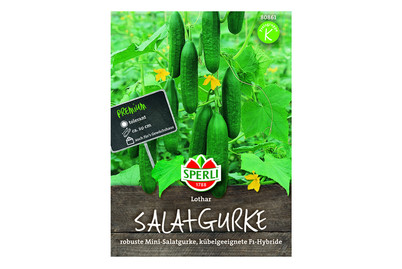 Image of Salatgurken Lothar bei JUMBO