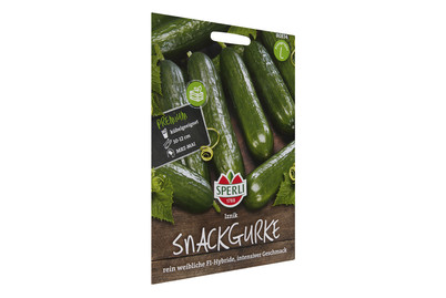Salatgurken IZNIK kaufen bei JUMBO