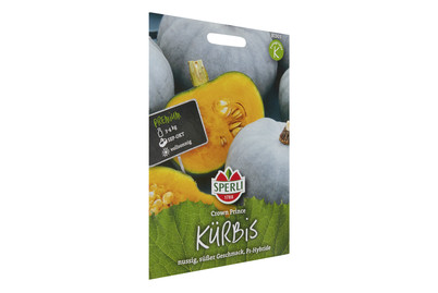 Image of Kürbis Crown Prince bei JUMBO