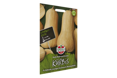 Image of Kürbis Early Butternut Avalon bei JUMBO