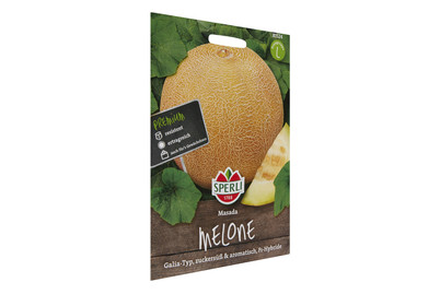 Image of Zuckermelone Masada bei JUMBO