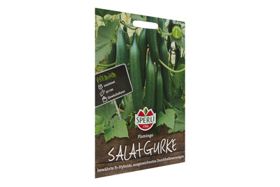 Image of Salatgurken Flamingo bei JUMBO