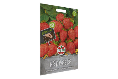 Image of Erdbeere Elan bei JUMBO