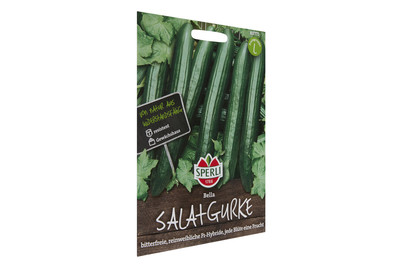 Image of Salatgurken Bella bei JUMBO