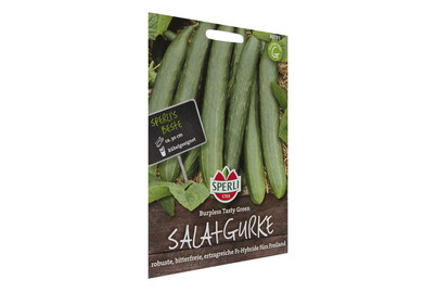 Image of Salatgurken Burpless Tasty bei JUMBO