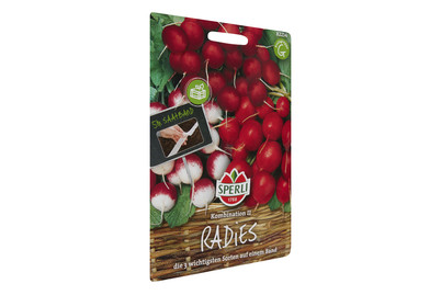 Image of Radieschen Riesenbutter bei JUMBO