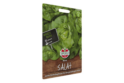 Image of Kopfsalat Mona bei JUMBO