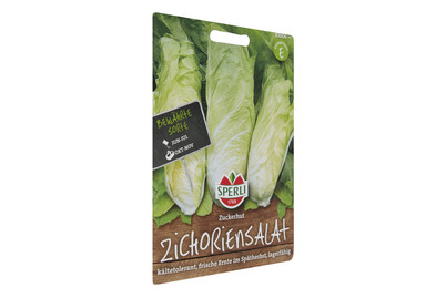 Image of Zichoriensalat Zuckerhut bei JUMBO