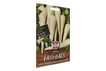 Image of Pastinaken Gladiator bei JUMBO