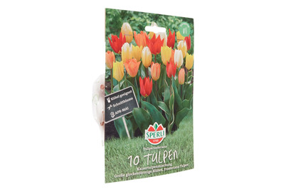 Image of Kaisertulpenmischung bei JUMBO