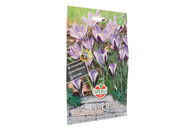Image of Sperli Botanischer Krokus Spring Beauty bei JUMBO