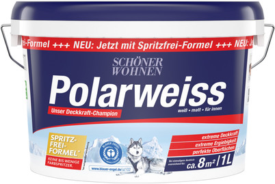 Image of Dispersion Polarweiss 1L