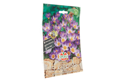 Image of Sperli Botanischer Krokus Tricolor bei JUMBO