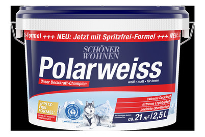 Image of Dispersion Polarweiss 2.5L