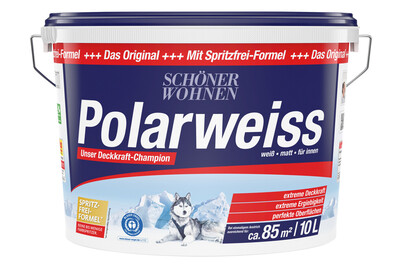 Image of Dispersion Polarweiss 10L
