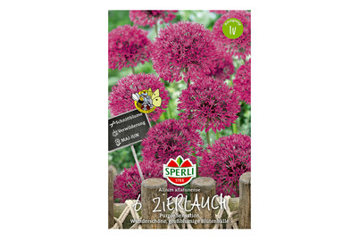 Image of Sperli Alium Purple Sensation bei JUMBO