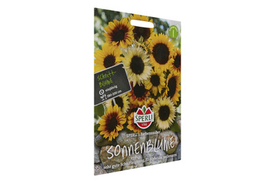 Image of Sonnenblume Schnittblumen-Mischung