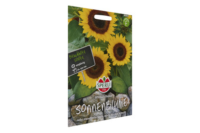 Image of Sonnenblumen Helios bei JUMBO